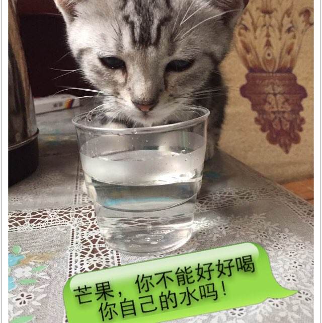 做个密苏里州驾驶证